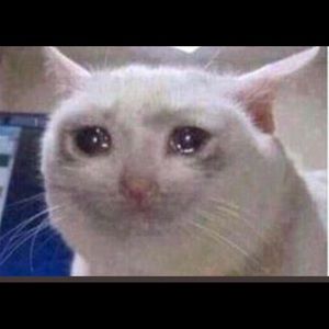 Meet your Posher, Alejandro